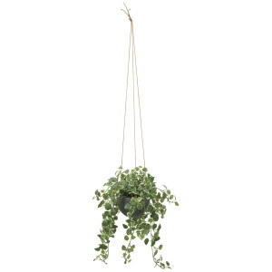 光触媒 人工観葉植物 造花 プミラハンギング (高さ110cm) (2583A150)