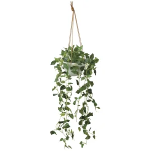 光触媒 人工観葉植物 造花 フィロハンギング (高さ100cm) (2584A100)