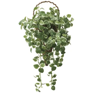 光触媒 人工観葉植物 造花 壁掛けプミラ (高さ48cm) (2585A95)