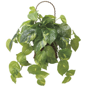 光触媒 人工観葉植物 造花 壁掛けフレッシュポトス (高さ40cm) (2599A65)