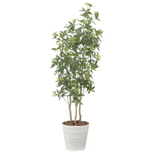 光触媒 人工観葉植物 造花 デラックスフレッシュパキラ1.8 (高さ180cm) (2602A550)