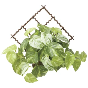 光触媒 人工観葉植物 造花 壁掛けフレッシュマーブルポトス (高さ30cm) (2604A55)