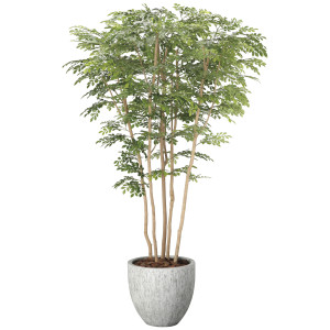 光触媒 人工観葉植物 造花 ナチュラルトネリコミックス2.3(組立式) (高さ230cm) (2607A1850)