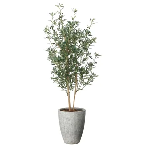 光触媒 人工観葉植物 造花 ナチュラルオリーブ1.8 (高さ180cm) (2613A750)