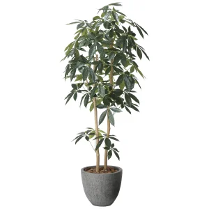 光触媒 人工観葉植物 造花 ナチュラルパキラ1.6 (高さ160cm) (2617A500)