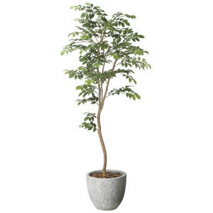 光触媒 人工観葉植物 造花 ナチュラルマウンテンアッシュ1.6 (高さ160cm) (2618A550)