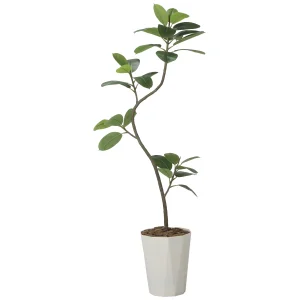 光触媒 人工観葉植物 造花 フレッシュツイストゴムの木1.75(組立式) (高さ175cm) (2625A320)