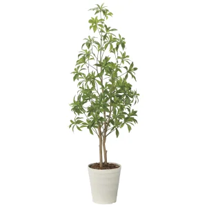 光触媒 人工観葉植物 造花 フレッシュアセビ1.35 (高さ135cm) (2628A240)