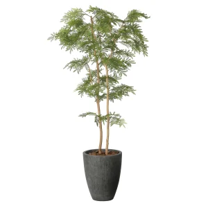 光触媒 人工観葉植物 造花 ナチュラルねむの木1.8 (高さ180cm) (2643A580)