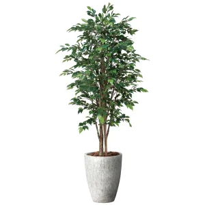 光触媒 人工観葉植物 造花 ナチュラルロイヤルベンジャミン1.8 (高さ180cm) (2647A800)
