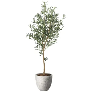 光触媒 人工観葉植物 造花 ナチュラルオリーブ1.6 (高さ160cm) (2649A620)