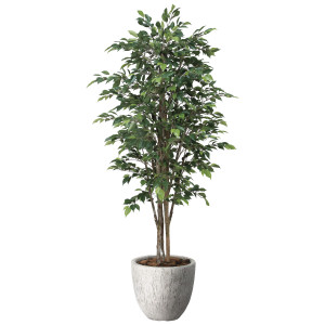 光触媒 人工観葉植物 造花 ナチュラルロイヤルベンジャミン1.6 (高さ160cm) (2650A600)