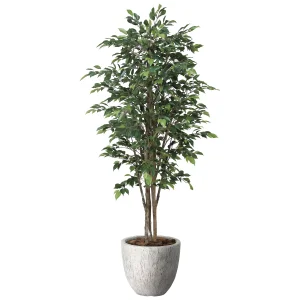 光触媒 人工観葉植物 造花 ナチュラルロイヤルベンジャミン1.6 (高さ160cm) (2650A600)