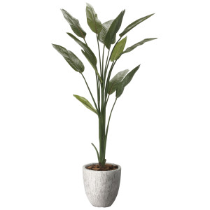 光触媒 人工観葉植物 造花 ナチュラルストレチア1.6 (高さ160cm) (2651A460)