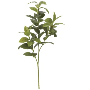 造花 シキミ(香花)1本 (高さ60cm) (2691A18N) ※光触媒無し