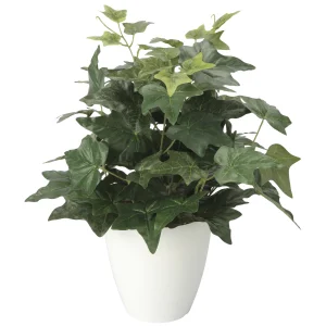 光触媒 人工観葉植物 造花 アイビ―M (高さ38cm) (2704A50)