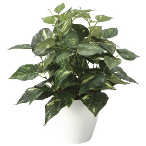 光触媒 人工観葉植物 造花 ポトスM (高さ38cm) (2705A50)