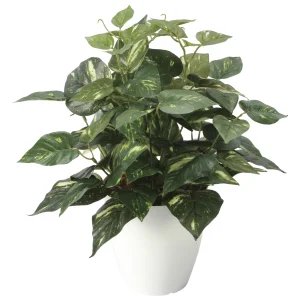 光触媒 人工観葉植物 造花 ポトスM (高さ38cm) (2705A50)