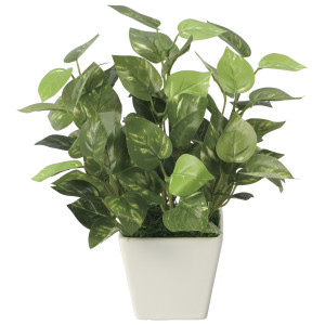 光触媒 人工観葉植物 造花 ミニポトス (高さ24cm) (2707A30)