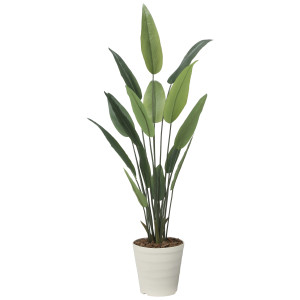 光触媒 人工観葉植物 造花 フレッシュストレチア 1.65 (高さ165cm) (2709A280)