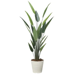 光触媒 人工観葉植物 造花 フレッシュストレチア 1.9 (高さ190cm) (2710A350)