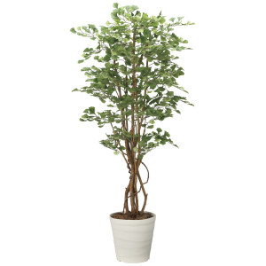 光触媒 人工観葉植物 造花 イチョウの木1.8 (高さ180cm) (2711A350)