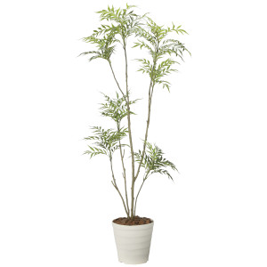 光触媒 人工観葉植物 造花 マホニア2.0(組立式) (高さ200cm) (2712A620)
