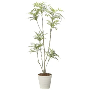 光触媒 人工観葉植物 造花 マホニア2.0(組立式) (高さ200cm) (2712A620)