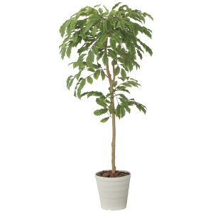 光触媒 人工観葉植物 造花 チェリーツリー1.8 (高さ180cm) (2713A300)
