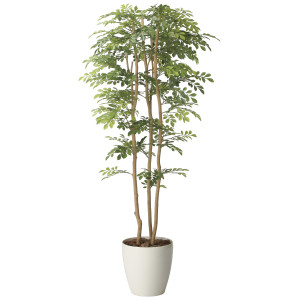 光触媒 人工観葉植物 造花 ツートントネリコ1.65 (高さ165cm) (2715A450)