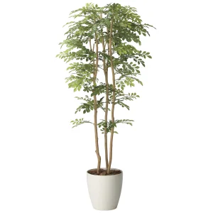 光触媒 人工観葉植物 造花 ツートントネリコ1.65 (高さ165cm) (2715A450)