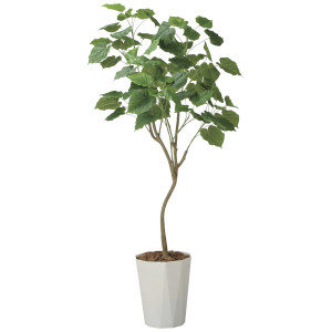 光触媒 人工観葉植物 造花 インテリアウンベラータ1.75 (高さ175cm) (2718A580)