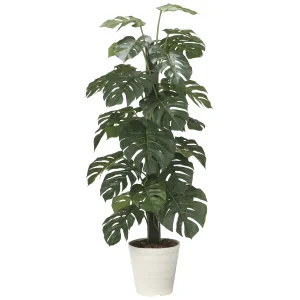 光触媒 人工観葉植物 造花 モンステラ  1.6 (高さ160cm) (2720A430)