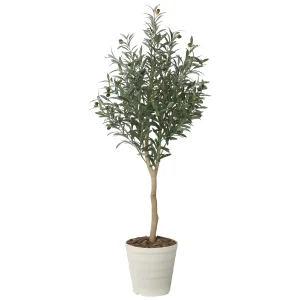 光触媒 人工観葉植物 造花 オリーブグレイス1.6 (高さ160cm) (2721A340)
