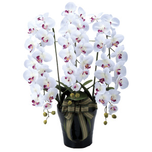 光触媒 人工観葉植物 造花 ロイヤル胡蝶蘭W/AB (高さ76cm) (310A200)