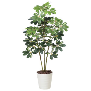 光触媒 人工観葉植物 造花 カポック斑入り1.2 (高さ120cm) (371K165)