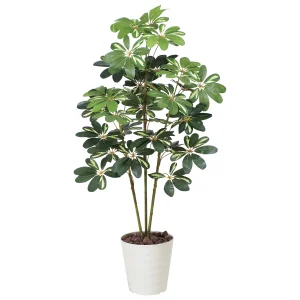 光触媒 人工観葉植物 造花 カポック斑入り1.2 (高さ120cm) (371K165)