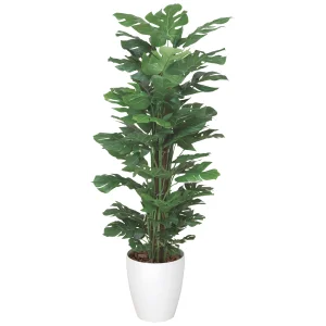 光触媒 人工観葉植物 造花 スプリット 1.2 (高さ120cm) (374K220)