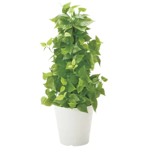 光触媒 人工観葉植物 造花 ポールライムポトス (高さ82cm) (381B120)