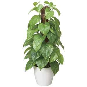 光触媒 人工観葉植物 造花 フレッシュポールポトス (高さ48cm) (382K60)