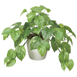 光触媒 人工観葉植物 造花 フレッシュポトスM (高さ36cm) (384K55)