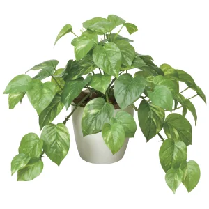 光触媒 人工観葉植物 造花 フレッシュポトスM (高さ36cm) (384K55)