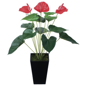 光触媒 人工観葉植物 造花 アンスリューム (高さ53cm) (437K45)