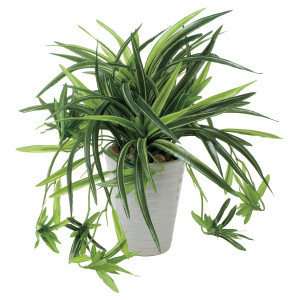 光触媒 人工観葉植物 造花 ドラセナ丸ポット (高さ28cm) (439A60)