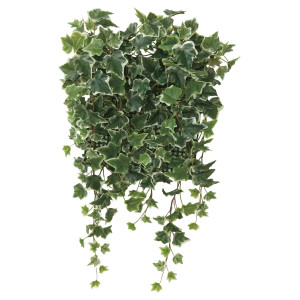 光触媒 人工観葉植物 造花 壁面緑化斑入りアイビー (高さ65cm) (441C70)