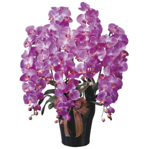 光触媒 人工観葉植物 造花 ロイヤル胡蝶蘭5本立L (高さ76cm) (446A300)