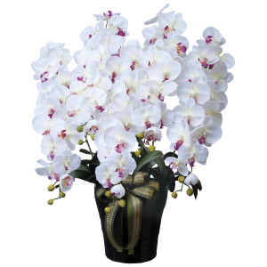 光触媒 人工観葉植物 造花 ロイヤル胡蝶蘭5本立W/AB (高さ76cm) (447A300)