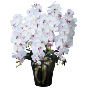光触媒 人工観葉植物 造花 ロイヤル胡蝶蘭5本立W/AB (高さ76cm) (447A300)