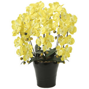 光触媒 人工観葉植物 造花 クイーン胡蝶蘭5本立Y (高さ74cm) (448A150)