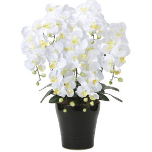 光触媒 人工観葉植物 造花 キング胡蝶蘭7本立W (高さ76cm) (451A200)